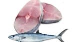 Seer Fish / Anjal / Surmeen (1 KG)
