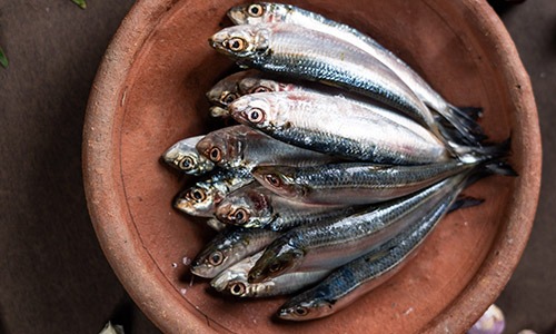 Small Sardine/Mathi/Bhutayi (1kg)