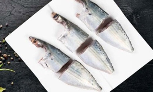 Medium Mackrel/Ayala/Bangude