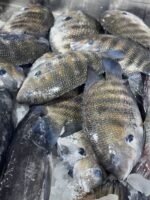 Karimeen / Pearl Spot (500g) - Image 3