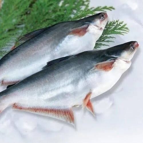 Basa/Vala(1kg)