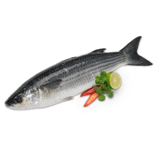 Kanamb / Mullet (1kg)