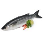 Thirutha / Grey Mullet (500g)