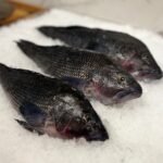 Black Snapper (Karipetti) (1kg)