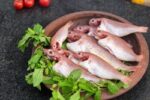 Big Indian Anchovy (Kili Meen) - Image 2