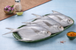 White Medium Pomfret / White Avoli
