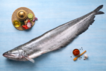 Wallago Catfish/Attu Vala