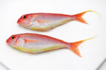 Big Indian Anchovy (Kili Meen)