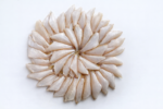 Veluri / White Sardine - Image 2