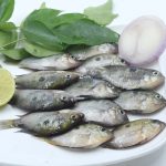Kayal pallathy fish/Pallathy