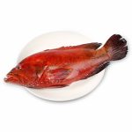 Big Red Finned Bullseye/Big Hamour Fish (Kalava)