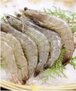 Big White Prawns